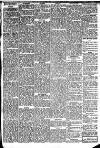 Southern Reporter Thursday 08 June 1916 Page 5