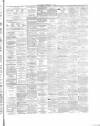 Hamilton Advertiser Saturday 07 May 1864 Page 3