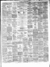 Hamilton Advertiser Saturday 01 December 1866 Page 3