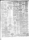 Hamilton Advertiser Saturday 15 December 1866 Page 3