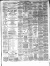 Hamilton Advertiser Saturday 29 December 1866 Page 3