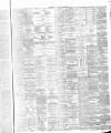 Hamilton Advertiser Saturday 19 December 1868 Page 3
