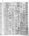 Hamilton Advertiser Saturday 30 January 1869 Page 3