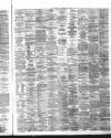 Hamilton Advertiser Saturday 01 May 1869 Page 3