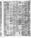 Hamilton Advertiser Saturday 27 November 1869 Page 3
