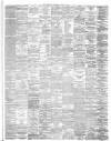 Hamilton Advertiser Saturday 18 January 1873 Page 3