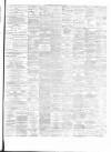Hamilton Advertiser Saturday 08 May 1875 Page 3