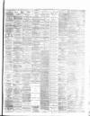 Hamilton Advertiser Saturday 26 June 1875 Page 3