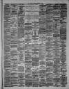 Hamilton Advertiser Saturday 03 February 1877 Page 3