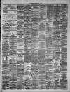 Hamilton Advertiser Saturday 05 May 1877 Page 3
