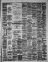 Hamilton Advertiser Saturday 02 June 1877 Page 3