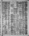 Hamilton Advertiser Saturday 30 June 1877 Page 3