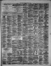 Hamilton Advertiser Saturday 01 September 1877 Page 3