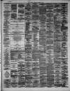 Hamilton Advertiser Saturday 17 November 1877 Page 3