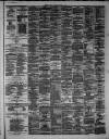 Hamilton Advertiser Saturday 09 March 1878 Page 3