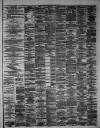 Hamilton Advertiser Saturday 13 April 1878 Page 3