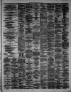 Hamilton Advertiser Saturday 18 May 1878 Page 3
