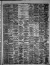 Hamilton Advertiser Saturday 08 June 1878 Page 3