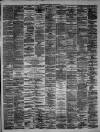 Hamilton Advertiser Saturday 15 June 1878 Page 3