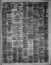 Hamilton Advertiser Saturday 22 June 1878 Page 3