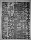 Hamilton Advertiser Saturday 10 August 1878 Page 3