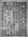 Hamilton Advertiser Saturday 02 November 1878 Page 3