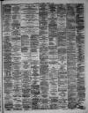 Hamilton Advertiser Saturday 14 December 1878 Page 3