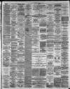 Hamilton Advertiser Saturday 07 February 1880 Page 3