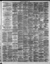 Hamilton Advertiser Saturday 01 May 1880 Page 3