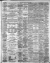 Hamilton Advertiser Saturday 25 December 1880 Page 3