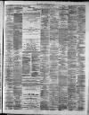 Hamilton Advertiser Saturday 22 January 1881 Page 3