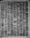 Hamilton Advertiser Saturday 07 April 1883 Page 3