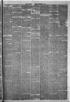 Hamilton Advertiser Saturday 08 December 1883 Page 5