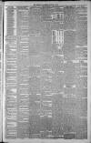 Hamilton Advertiser Saturday 19 January 1884 Page 3