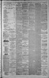 Hamilton Advertiser Saturday 20 December 1884 Page 7