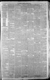 Hamilton Advertiser Saturday 23 January 1886 Page 3