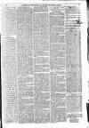 Greenock Telegraph and Clyde Shipping Gazette Monday 01 May 1871 Page 3