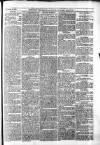 Greenock Telegraph and Clyde Shipping Gazette Saturday 18 November 1871 Page 3