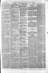 Greenock Telegraph and Clyde Shipping Gazette Monday 20 November 1871 Page 3