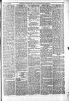 Greenock Telegraph and Clyde Shipping Gazette Saturday 25 November 1871 Page 3