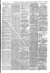 Greenock Telegraph and Clyde Shipping Gazette Saturday 20 January 1872 Page 3