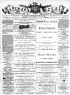 Arbroath Herald Thursday 13 July 1893 Page 1