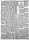 Arbroath Herald Thursday 04 January 1906 Page 5