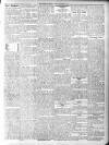 Arbroath Herald Friday 01 October 1915 Page 5