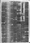 Dunfermline Saturday Press Saturday 25 March 1876 Page 3