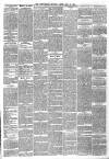 Dunfermline Saturday Press Saturday 17 July 1880 Page 3