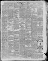 Luton Times and Advertiser Saturday 20 April 1867 Page 3