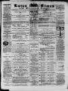 Luton Times and Advertiser Saturday 21 December 1867 Page 1