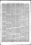 Luton Times and Advertiser Saturday 31 March 1877 Page 8