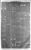 Kent & Sussex Courier Friday 17 January 1879 Page 5